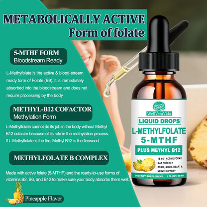 Methylfolat 15 mg plus Methyl B12, B6, B2 Multivitamin – bioaktives 5-MTHF für Stimmung, Homocystein, Methylierung, Kognition, Energie & Nerven – für Erwachsene & Kinder