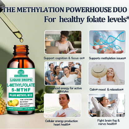 Methylfolat 15 mg plus Methyl B12, B6, B2 Multivitamin – bioaktives 5-MTHF für Stimmung, Homocystein, Methylierung, Kognition, Energie & Nerven – für Erwachsene & Kinder