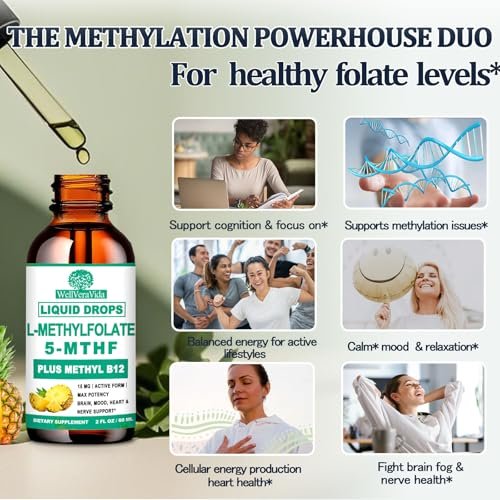 Methylfolat 15 mg plus Methyl B12, B6, B2 Multivitamin – bioaktives 5-MTHF für Stimmung, Homocystein, Methylierung, Kognition, Energie & Nerven – für Erwachsene & Kinder
