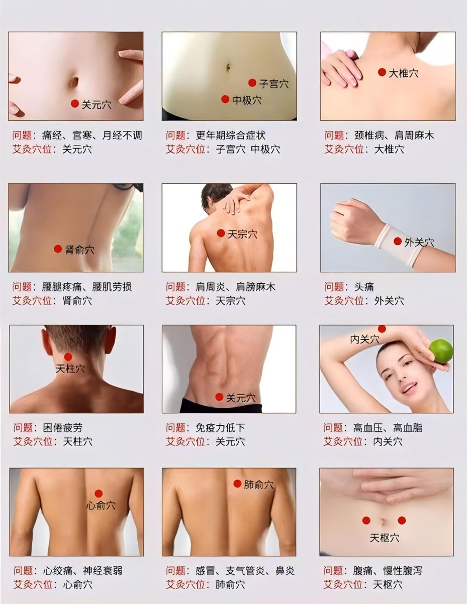 Rauchlose Moxa-Sticks 5 Stück – Kein Rauch bei der Moxibustion, aus reiner Beifußkohle, 1x5 Rollen