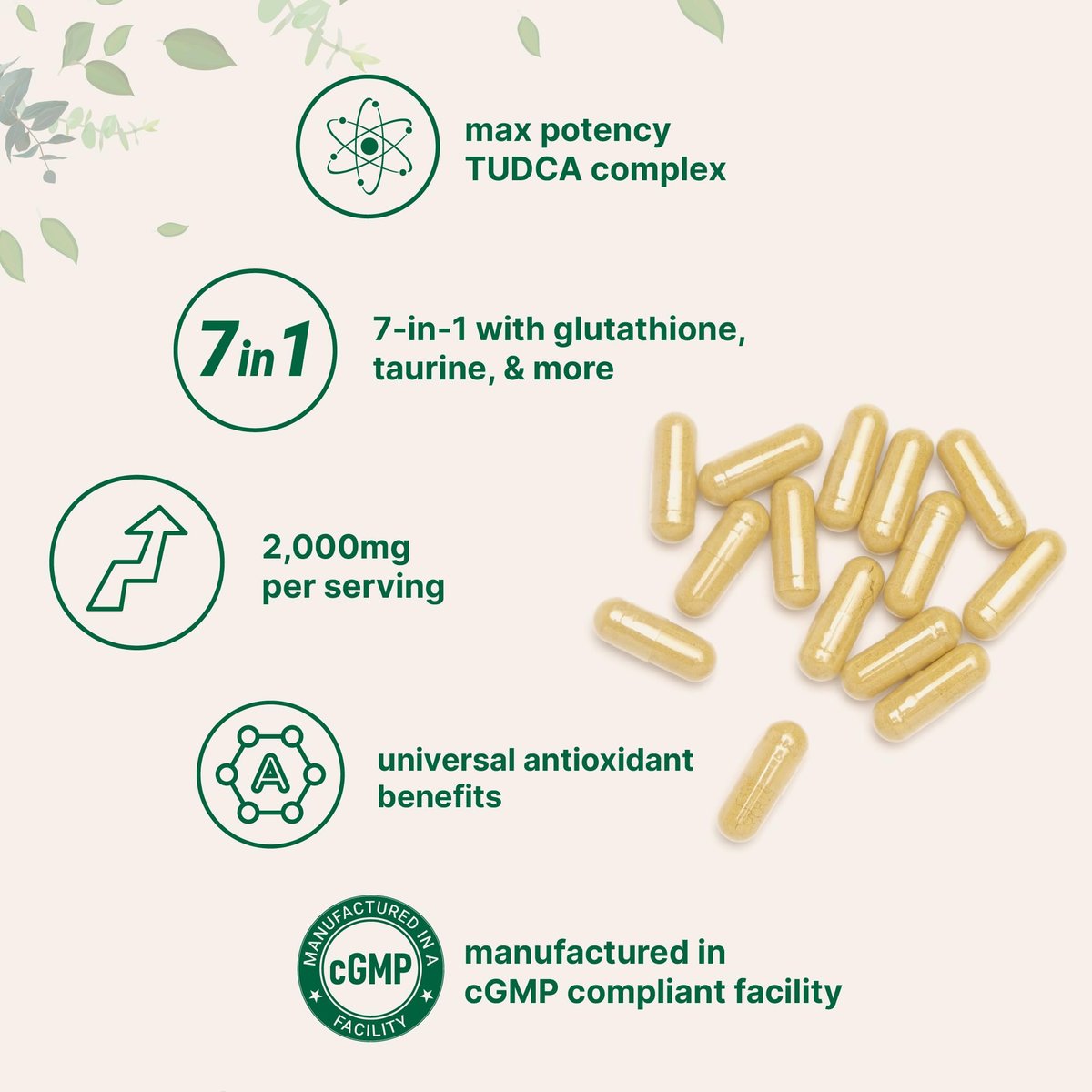 Micro Ingredients TUDCA Galle Bile Salze 2.000 mg Nahrungsergänzungsmittel, 240 Kapseln | 7-in-1 Komplex mit NAC, Mariendistel, Glutathion, Löwenzahn & Artischocke | Extra starke Tauroursodeoxycholsäure | Non-GMO