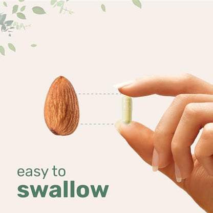 Micro Ingredients TUDCA Galle Bile Salze 2.000 mg Nahrungsergänzungsmittel, 240 Kapseln | 7-in-1 Komplex mit NAC, Mariendistel, Glutathion, Löwenzahn & Artischocke | Extra starke Tauroursodeoxycholsäure | Non-GMO