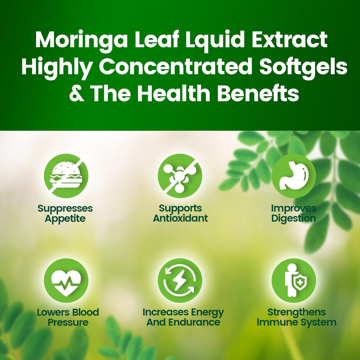 Pure Moringa Softgel – 240 Kapseln, 30:1 Ultra-konzentrierter Moringa-Blatt-Extrakt mit Liposomaler Technologie für 98 % Absorption, 120-Tage-Vorrat, Vollwertiges grünes Superfood für Energie, Haut, Immunsystem und Darmgesundheit