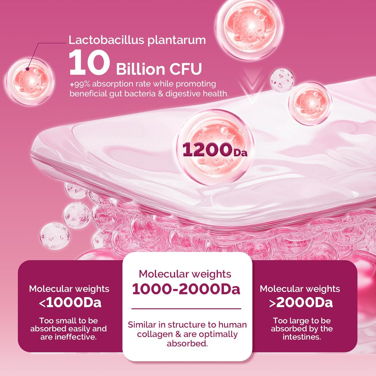 DRFOSTER Multi-Collagen-Peptiden-Pulver für Frauen – Typ I, II, III, V, X, hydrolysiertes Kollagenpulver mit Beauty-Komplex, Vitamin C & Biotin für Haut, Haare, Nägel, Gelenke, Nicht-GVO, 35 Portionen