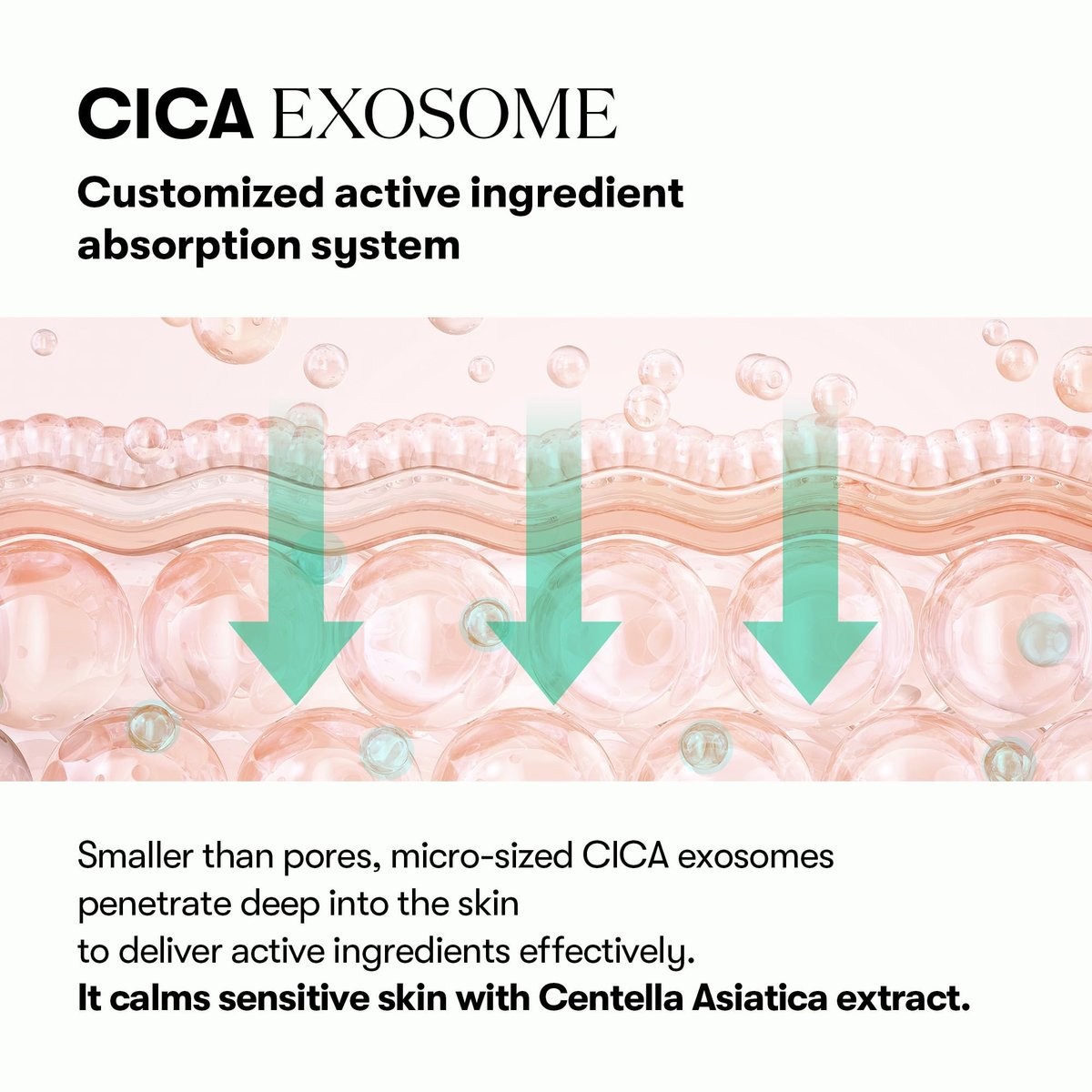 VT COSMETICS PDRN Cica Exosome Ampulle – Festigendes Serum mit Peptid & Ceramid für Anti-Aging, Faltenpflege, Volumen, Feuchtigkeit & strahlenden Glanz – für alle Hauttypen (30 ml)