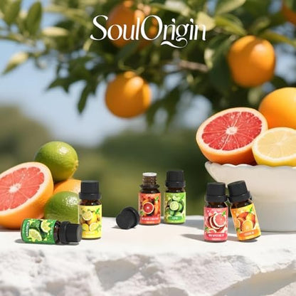 Soulorigin Citrus Duftöle Set für Diffuser, Aroma Diffuser Öl für Kerzenherstellung – Blutorange, Zitrone, Bergamotte, Limette, Grapefruit, Zitrus