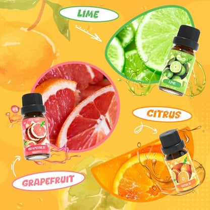 Soulorigin Citrus Duftöle Set für Diffuser, Aroma Diffuser Öl für Kerzenherstellung – Blutorange, Zitrone, Bergamotte, Limette, Grapefruit, Zitrus