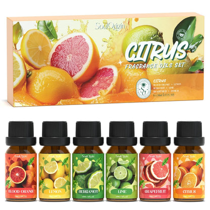Soulorigin Citrus Duftöle Set für Diffuser, Aroma Diffuser Öl für Kerzenherstellung – Blutorange, Zitrone, Bergamotte, Limette, Grapefruit, Zitrus