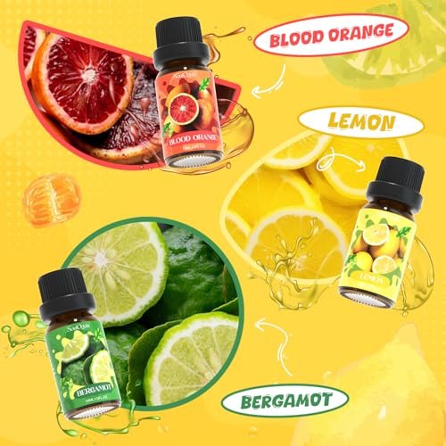 Soulorigin Citrus Duftöle Set für Diffuser, Aroma Diffuser Öl für Kerzenherstellung – Blutorange, Zitrone, Bergamotte, Limette, Grapefruit, Zitrus