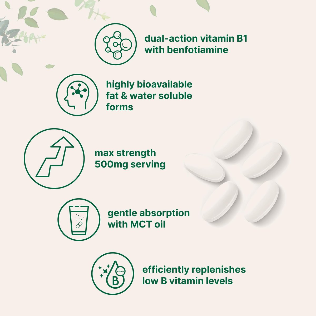 Micro Ingredients Vitamin B1 Thiamin 500 mg mit Benfotiamin & MCT-Öl, 240 Weichkapseln | Hoch bioverfügbares Thiamin-Präparat für Energie & Nervensystem* | Nicht-GVO, sojafrei