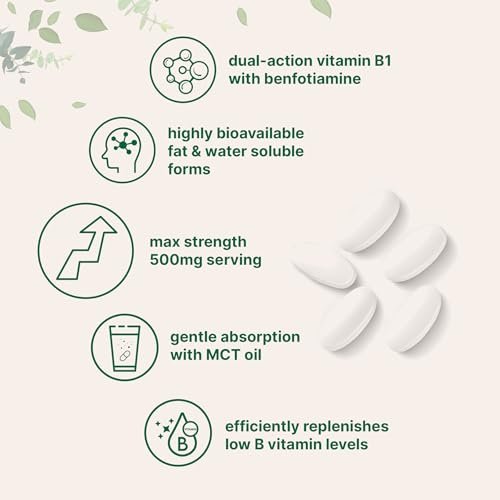 Micro Ingredients Vitamin B1 Thiamin 500 mg mit Benfotiamin & MCT-Öl, 240 Weichkapseln | Hoch bioverfügbares Thiamin-Präparat für Energie & Nervensystem* | Nicht-GVO, sojafrei
