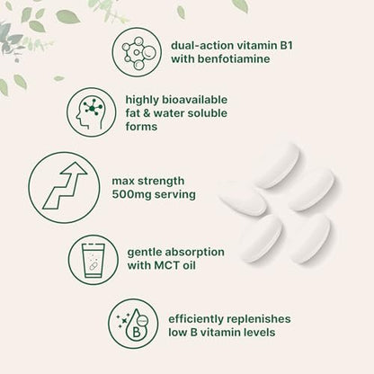 Micro Ingredients Vitamin B1 Thiamin 500 mg mit Benfotiamin & MCT-Öl, 240 Weichkapseln | Hoch bioverfügbares Thiamin-Präparat für Energie & Nervensystem* | Nicht-GVO, sojafrei