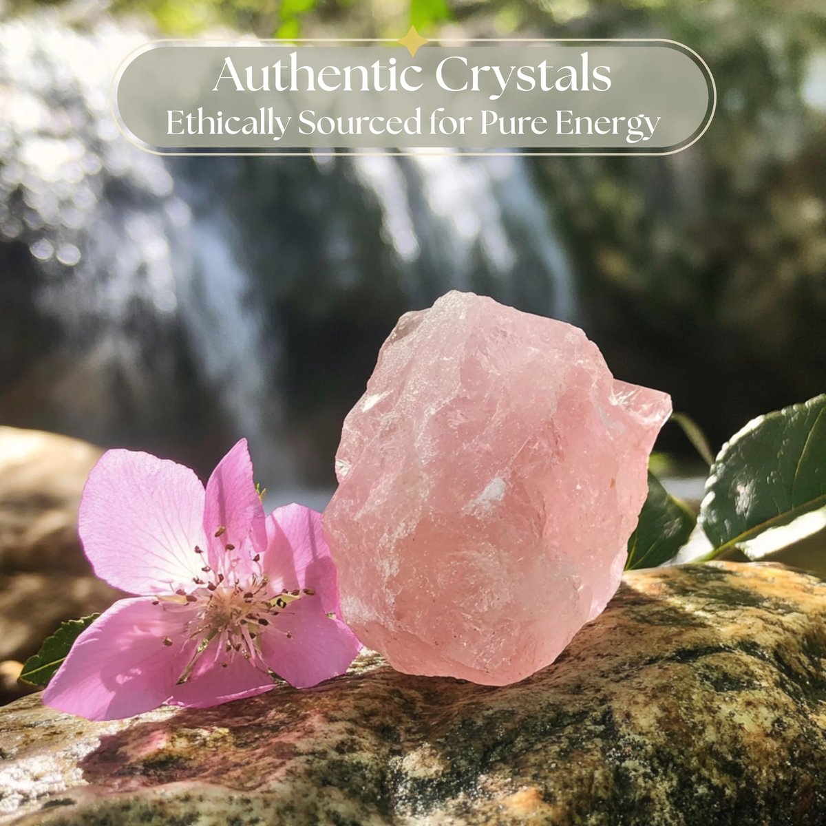 Anima Rosenquarz Kristall – Großer 1,6–2 Zoll Sanfter Rosa Natürlicher Rohstein für Bedingungslose Liebe, Heilung & Harmonie – Ethisch Beschafft, Präsentiert in Elegantem Geschenkkarton