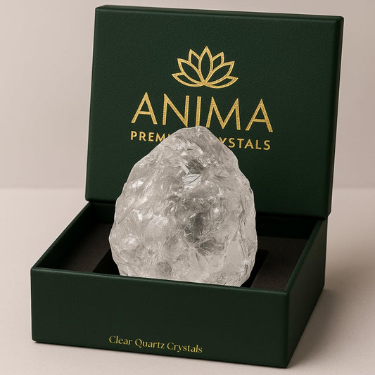 Anima Klarer Quarzkristall – Großer Natürlicher Rohstein (4–5 cm) für Klarheit, Energie & Verstärkung – Ethisch Beschafft, Präsentiert in Eleganter Geschenkbox