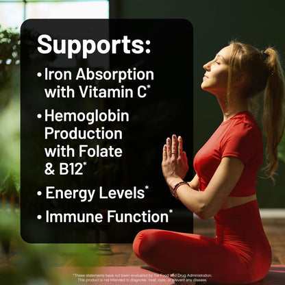 NatureWise Veganes Eisenpräparat für Frauen und Männer – Magenschonend, hoch bioverfügbar, Eisenbisglycinat-Tabletten mit Vitamin C, Methyl-B12, Folsäure & Bio-Lebensmittel-Mix – 30 Tabletten (30-Tage-Vorrat)