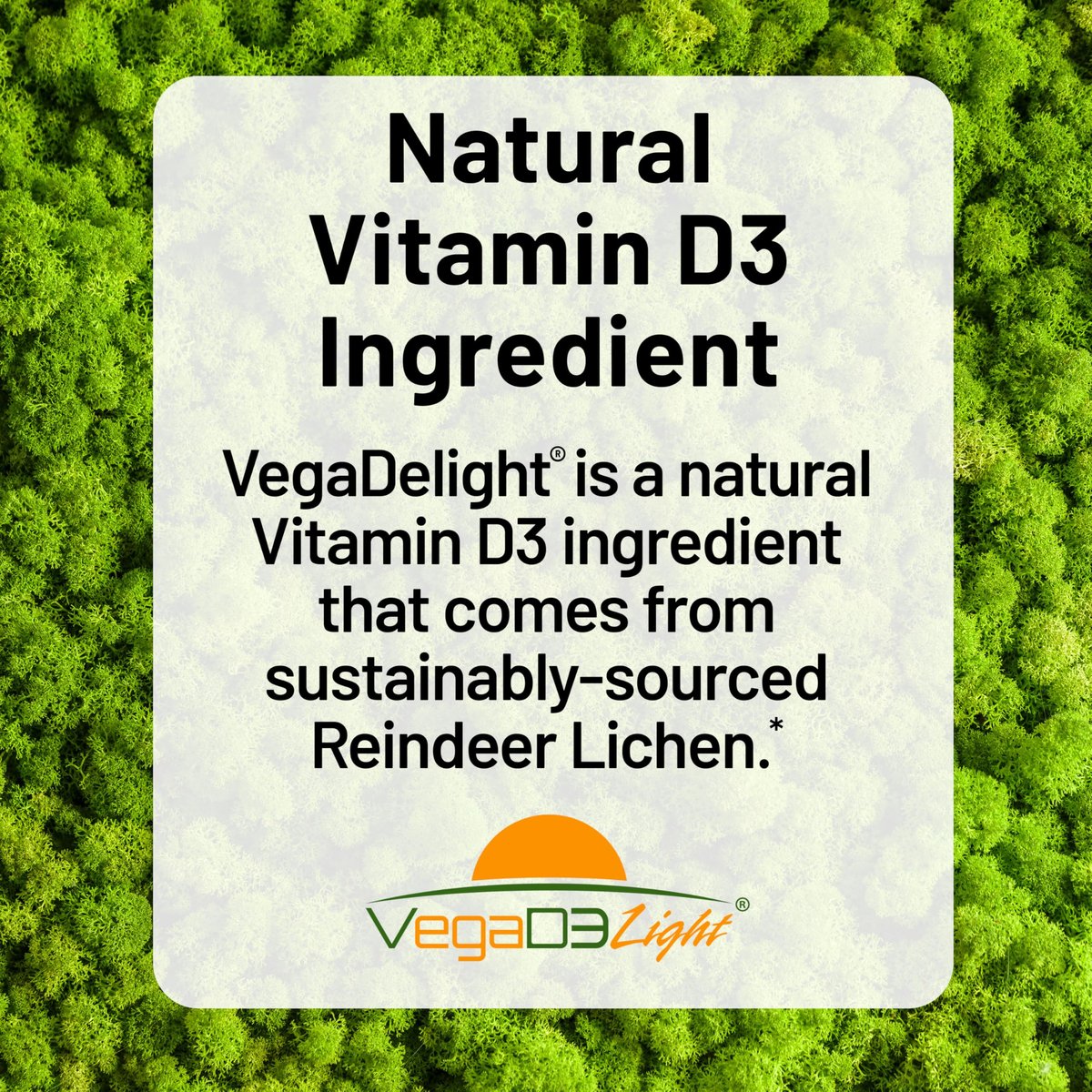 NatureWise Veganes Vitamin D3 + K2 mit Bio-Kokos-MCT-Öl – Natürliches D3 10.000 IE + K2 200 mcg – Hochdosiert für Knochenunterstützung – Non-GMO – 30 Weichkapseln (30-Tage-Vorrat)