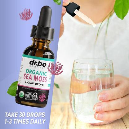DR. BO Irish Sea Moss Liquid Drops - Bio-Organische Seamoss-Tropfen für Immun-, Haut- und Darmgesundheit - Veganes Seamoss-Öl-Gel-Tinktur, Chondrus Crispus Bio-Seamoss-Gel-Öl für Erwachsene & Kinder 30 ml