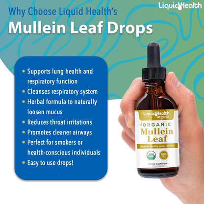 LIQUIDHEALTH USDA Bio-Mulleinblattextrakt-Tropfen für die Lunge - Kräuter-Reinigungstropfen für Raucher, Immununterstützung, Atemwegsgesundheit - 1000 mg, 60-Tage-Vorrat, zuckerfrei, hergestellt in den USA (60 ml)