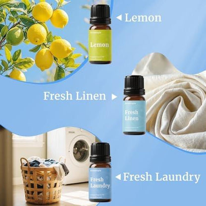 AROMTOPIA Diffuser Duftöle – 6x10ml Frische Zuhause Set für Aromadiffuser, Duftlampe, Seifen- und Kerzenherstellung – Frische Wäsche, Meeresbrise, Zitrone