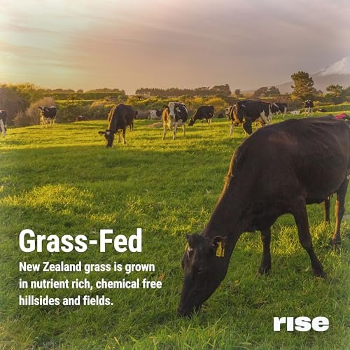 Rise Grass-Fed Whey Proteinpulver Vanille - 25g Protein, ohne künstliche Aromen, Farbstoffe oder Konservierungsstoffe - Zuckerfrei, glutenfrei, sojafrei (Einzelportion, 1 Packung)