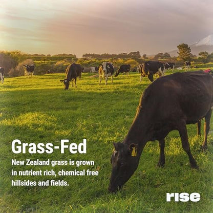 Rise Grass-Fed Whey Proteinpulver Vanille - 25g Protein, ohne künstliche Aromen, Farbstoffe oder Konservierungsstoffe - Zuckerfrei, glutenfrei, sojafrei (Einzelportion, 1 Packung)
