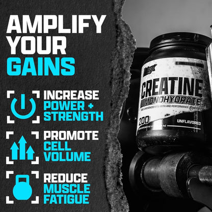 Nutrex Research Ultra Pure Creatine Monohydrat Pulver – 5g mikronisiertes Kreatin für Muskelaufbau, Kraft, Ausdauer und Erholung – 80 Portionen, geschmacksneutral