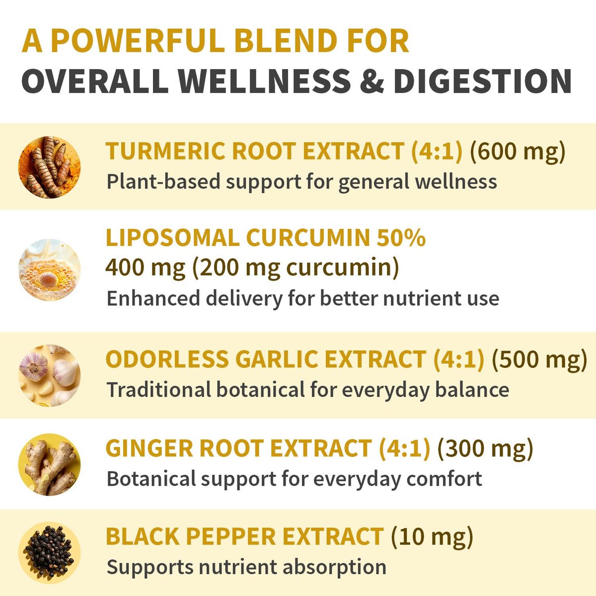 Liposomales Kurkuma – Hochabsorbierende Curcumin-Ergänzung, Non-GMO-Mischung für Verdauungskomfort & tägliche Unterstützung – Bio-Kurkuma-Präparat mit schwarzem Pfeffer (120 Kapseln, Packung mit 1)