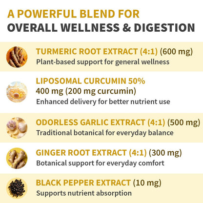 Liposomales Kurkuma – Hochabsorbierende Curcumin-Ergänzung, Non-GMO-Mischung für Verdauungskomfort & tägliche Unterstützung – Bio-Kurkuma-Präparat mit schwarzem Pfeffer (120 Kapseln, Packung mit 1)