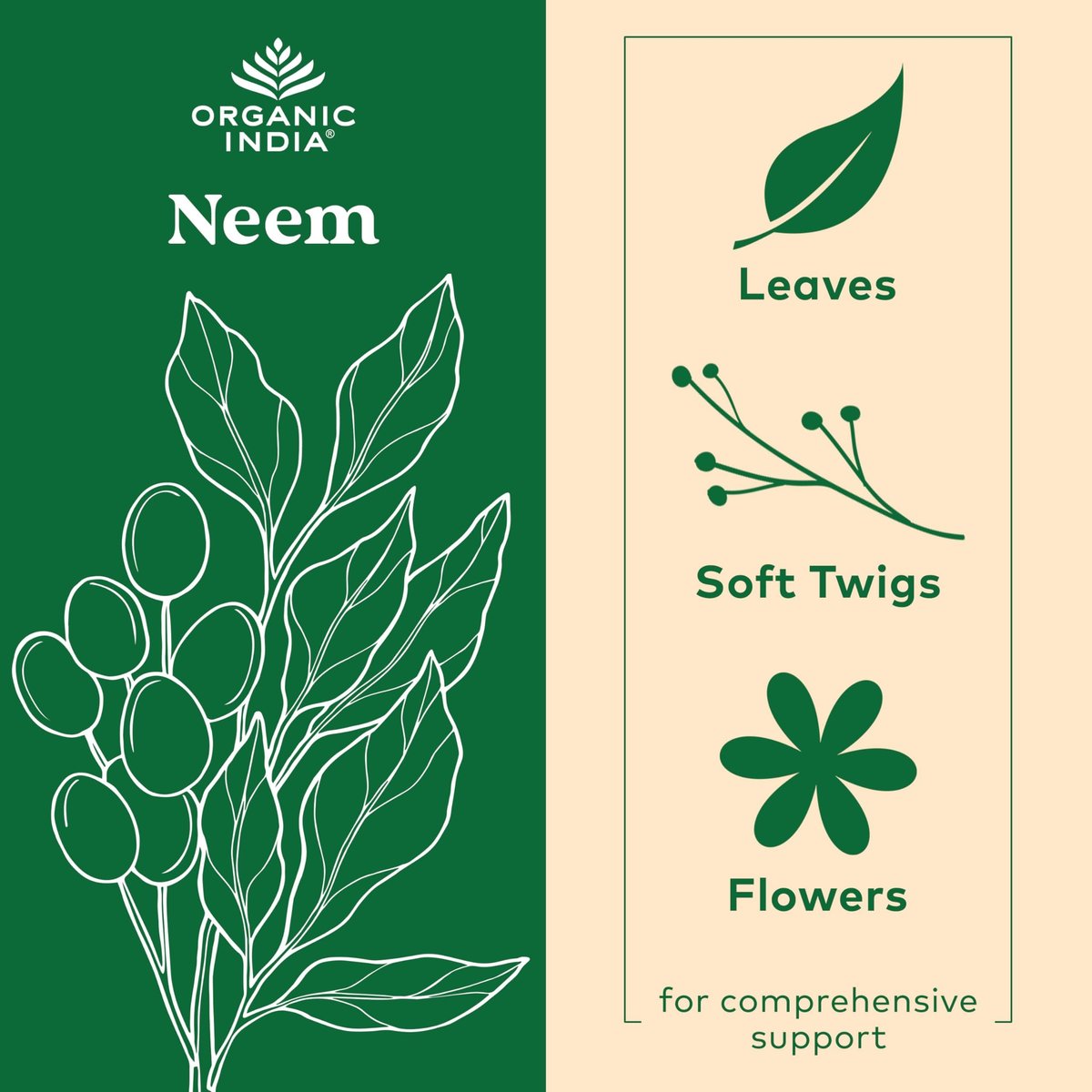 ORGANIC INDIA Neem Blatt Kapseln - Pflanzliches Nahrungsergänzungsmittel für Haut & Immunsystem, Vegan, Glutenfrei, USDA Bio - 90 Kapseln