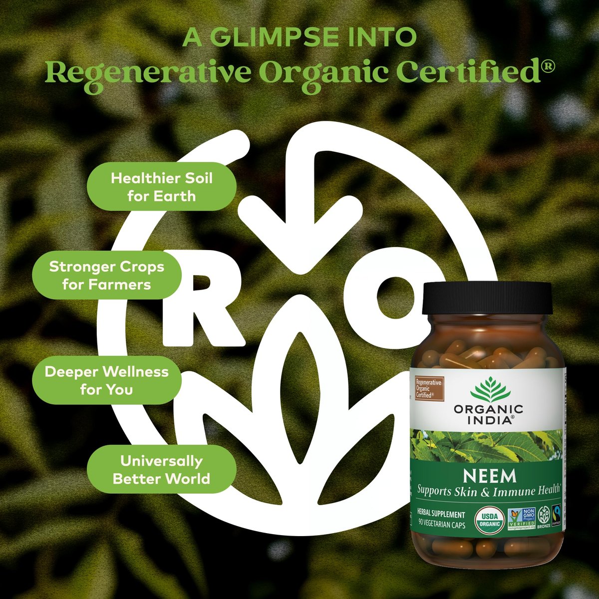 ORGANIC INDIA Neem Blatt Kapseln - Pflanzliches Nahrungsergänzungsmittel für Haut & Immunsystem, Vegan, Glutenfrei, USDA Bio - 90 Kapseln