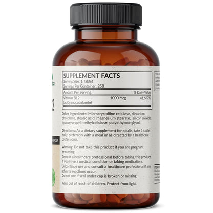 Futurebiotics Vitamin B12 1000mcg – 250 vegetarische Tabletten, nicht-GVO