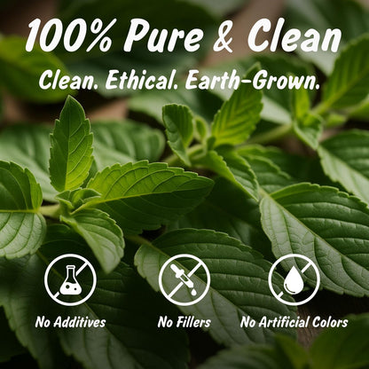 Spice Profile USDA Bio Indisches Tulsi / Heiliges Basilikum geschnitten & gesiebt, 2 oz, laborgeprüft auf Schwermetalle, Ocimum sanctum