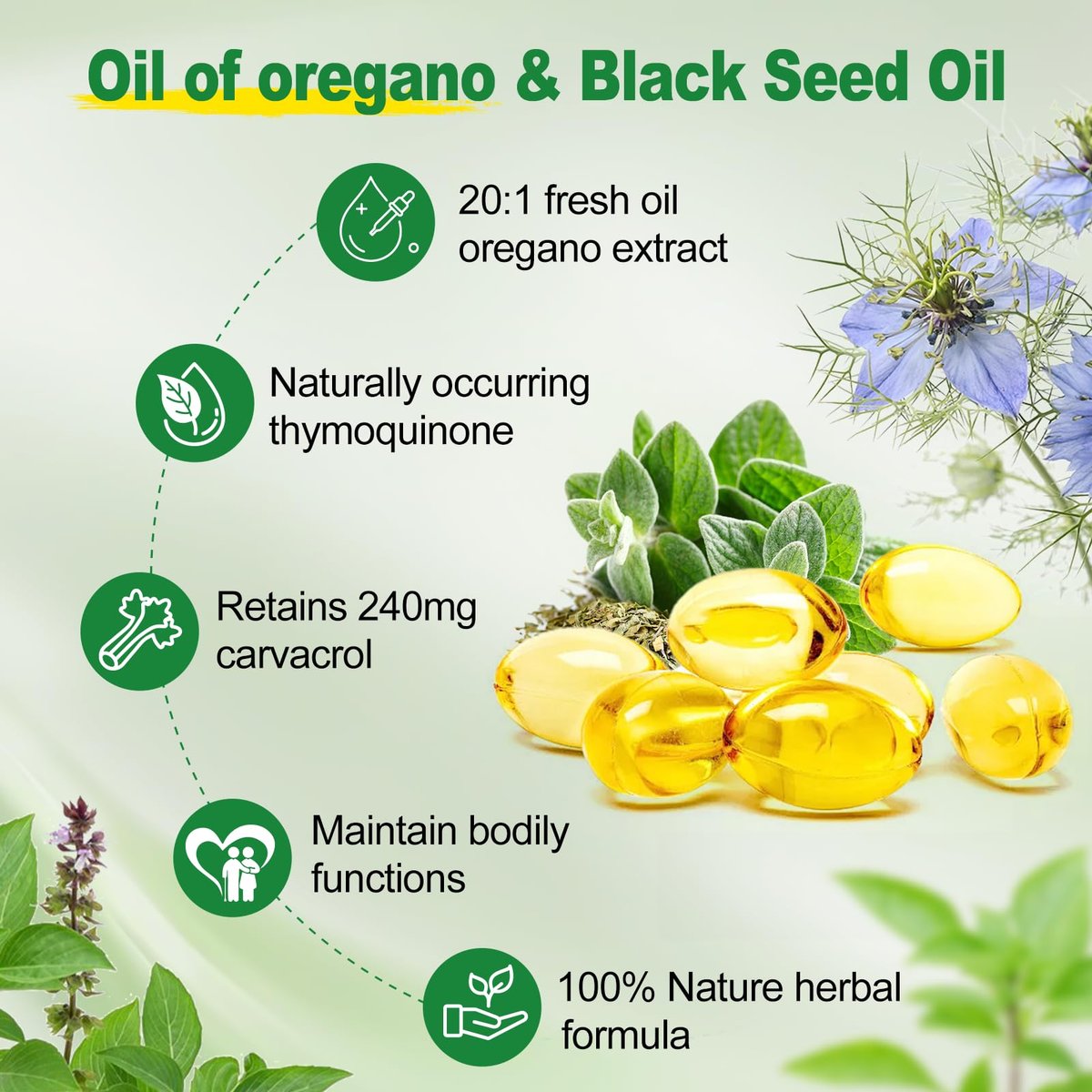 SIGNILIFE Oreganoöl mit Schwarzkümmelöl, 6000 mg Oreganoöl Kapseln für Immununterstützung mit hohem Carvacrol & Thymoquinon, Antioxidans, Nicht-GVO, Glutenfrei, 150 Weichkapseln