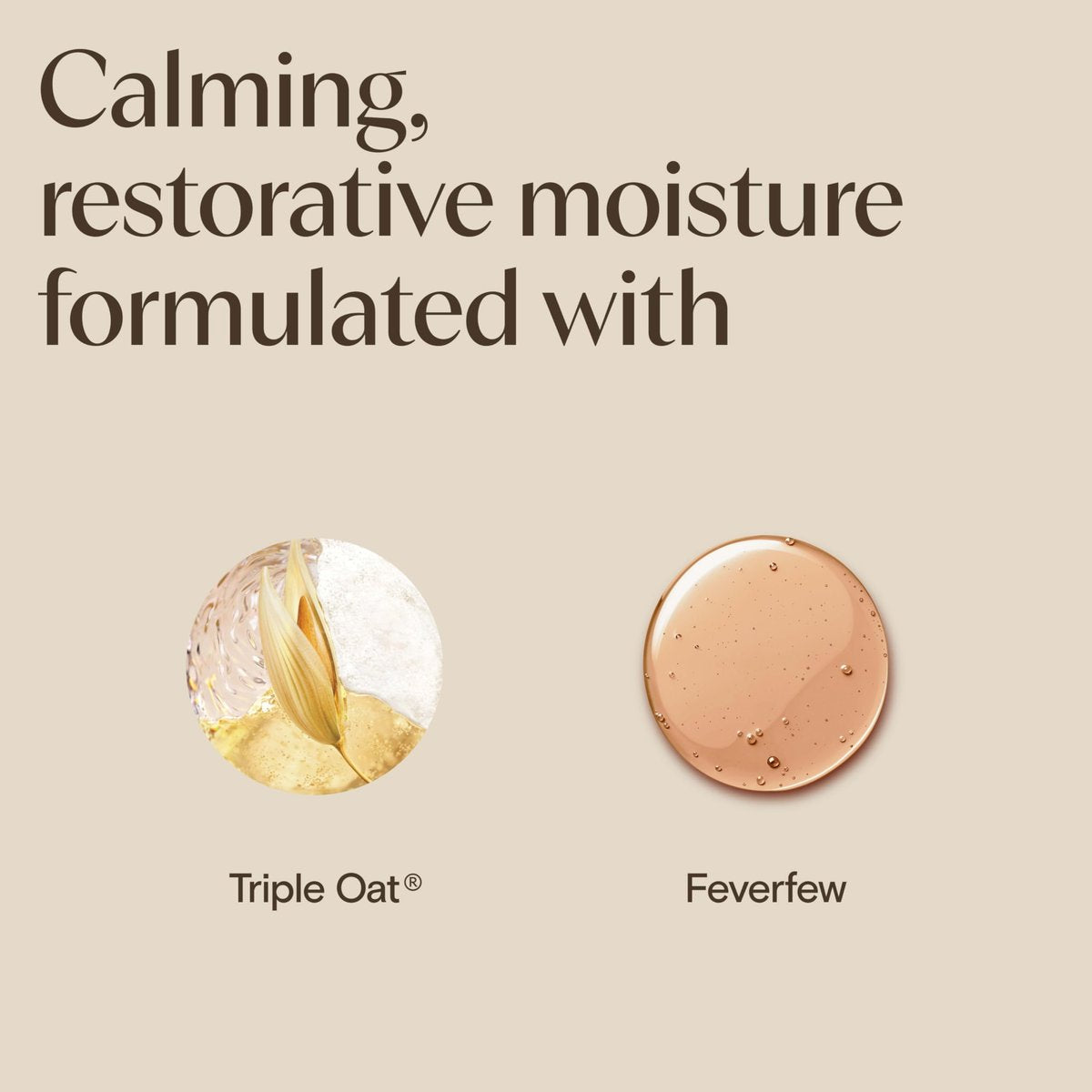 Aveeno Hautpflege-Set für empfindliche Haut: Calm + Restore Triple Oat Hydrating Facial Serum (30 ml) & Reisegröße Daily Moisturizing Cream + Prebiotic Oat (15 ml) – Duftfrei, 2-teilig