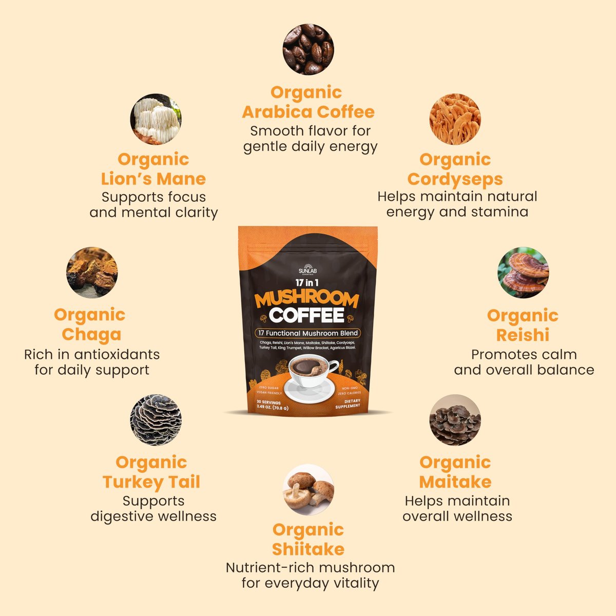 Bio Pilz-Kaffee mit 17 funktionellen Pilzen (Löwenmähne, Reishi, Chaga, Cordyceps, Truthahnschwanz & mehr) Gourmet Arabica Instantkaffee für Immunität, Fokus & Energie - USA hergestellt - 30 Portionen