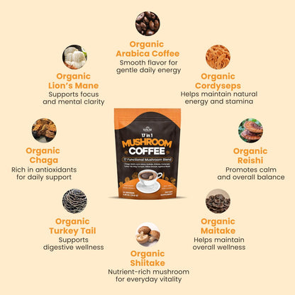 Bio Pilz-Kaffee mit 17 funktionellen Pilzen (Löwenmähne, Reishi, Chaga, Cordyceps, Truthahnschwanz & mehr) Gourmet Arabica Instantkaffee für Immunität, Fokus & Energie - USA hergestellt - 30 Portionen