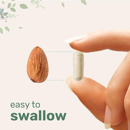 Micro Ingredients Liposomales NAD+ für Frauen Komplex, 180 vegane Kapseln | NMN-Pathway-Ergänzung | 12-in-1 Fortschrittliche NAD-Formel mit Resveratrol, Hyaluronsäure, Glutathion und Kollagen