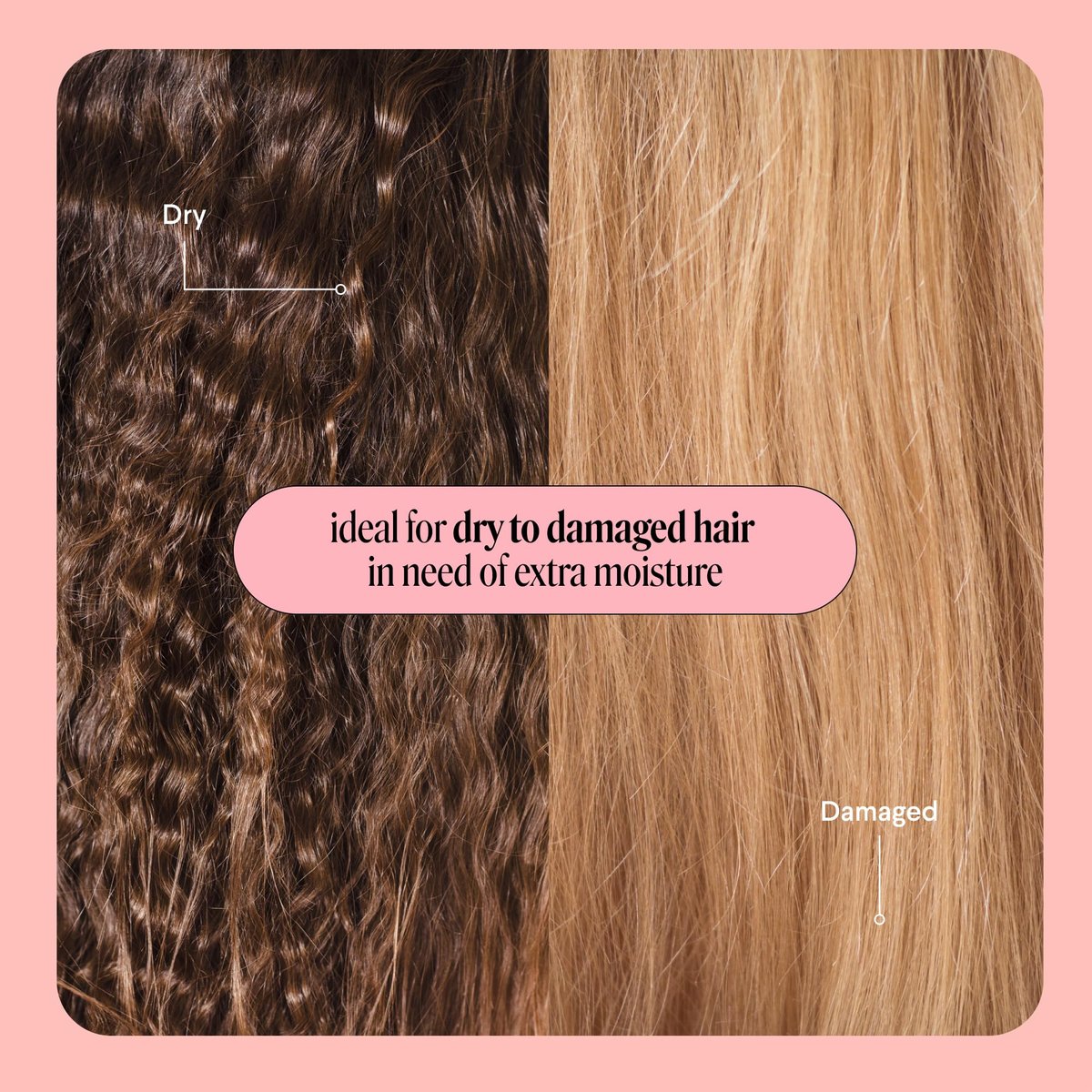 MONDAY HAIRCARE Tiefenfeuchtigkeit Haarmaske mit Keratin, Arganöl, Sheabutter & Kokosöl für trockenes bis geschädigtes Haar 250 ml (Doppelpack)