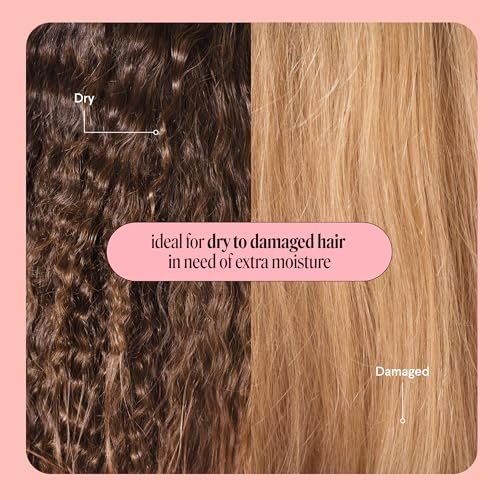 MONDAY HAIRCARE Tiefenfeuchtigkeit Haarmaske mit Keratin, Arganöl, Sheabutter & Kokosöl für trockenes bis geschädigtes Haar 250 ml (Doppelpack)