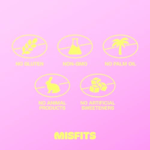 Misfits Vegan Protein Riegel - Schokoladiger Brownie-Teig | 14g Protein, 1g Zucker, pflanzlich, Low Carb, Non-GMO, glutenfrei | 12er Pack
