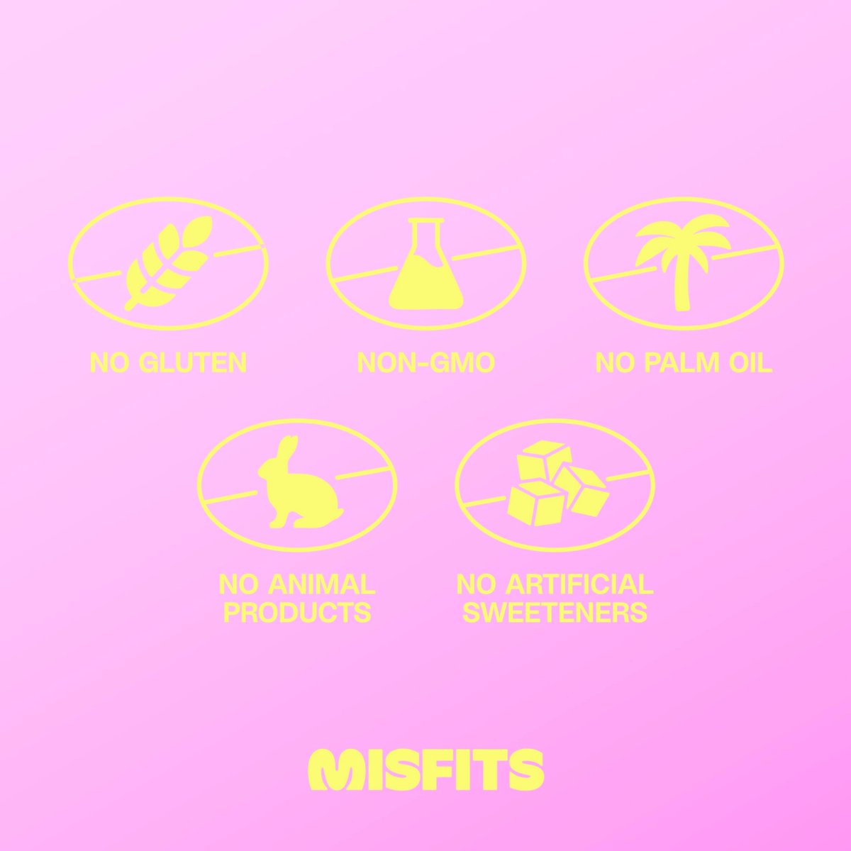 Misfits Vegan Protein Riegel - Schokoladiger Brownie-Teig | 14g Protein, 1g Zucker, pflanzlich, Low Carb, Non-GMO, glutenfrei | 12er Pack