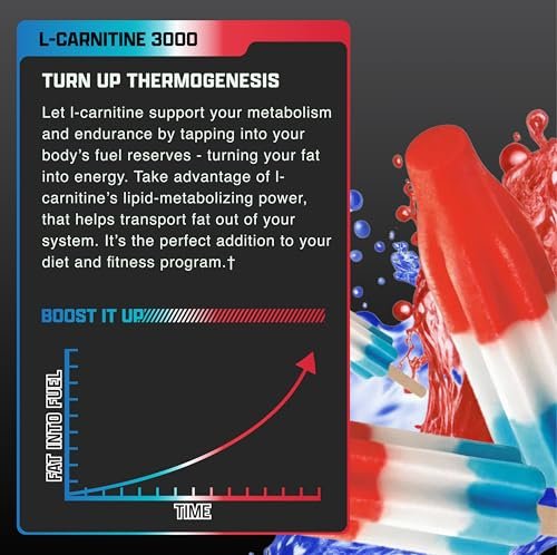 Nutrex Research Liquid Carnitine 3000 | Flüssiges L-Carnitin, stimulanzienfrei, 31 Portionen (Lunar Pop)