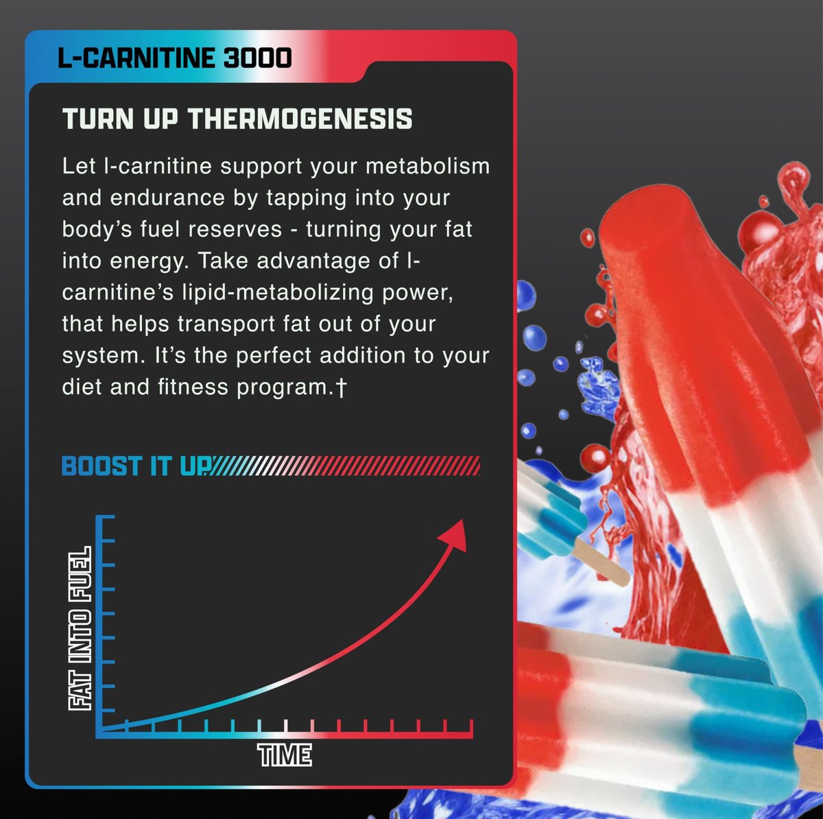 Nutrex Research Liquid Carnitine 3000 | Flüssiges L-Carnitin, stimulanzienfrei, 31 Portionen (Lunar Pop)
