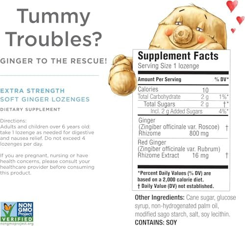 The Ginger People Ginger Rescue Digestive Wellness Lozenges (Weich) | Extra Stark - 800 mg | Gegen Übelkeit, Magenverstimmung, Reisekrankheit, leichtes Sodbrennen, Verdauungsstörungen, 30 Stück (2er-Pack)