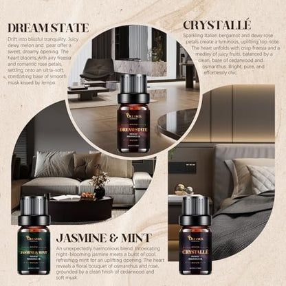 Hotel Diffuser Oils Geschenkset – Luxuriöse Duftöle für Aromadiffusoren, Kerzen- und Seifenherstellung – Jasmin & Minze, Weißer Tee, The Way, Dream State, Hotel Lobby, Crystallé (6 x 10 ml)