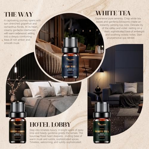 Hotel Diffuser Oils Geschenkset – Luxuriöse Duftöle für Aromadiffusoren, Kerzen- und Seifenherstellung – Jasmin & Minze, Weißer Tee, The Way, Dream State, Hotel Lobby, Crystallé (6 x 10 ml)