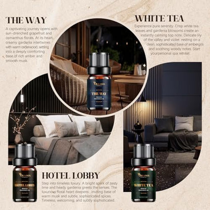 Hotel Diffuser Oils Geschenkset – Luxuriöse Duftöle für Aromadiffusoren, Kerzen- und Seifenherstellung – Jasmin & Minze, Weißer Tee, The Way, Dream State, Hotel Lobby, Crystallé (6 x 10 ml)