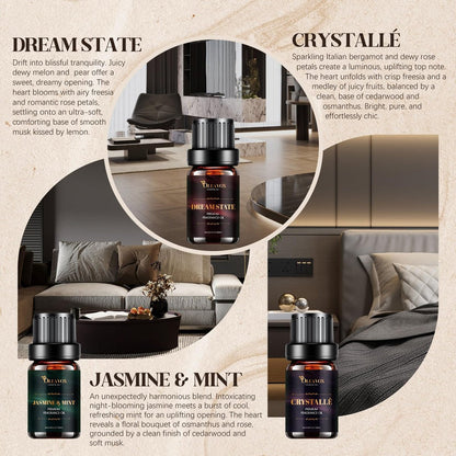 Hotel Diffuser Oils Geschenkset – Luxuriöse Duftöle für Aromadiffusoren, Kerzen- und Seifenherstellung – Jasmin & Minze, Weißer Tee, The Way, Dream State, Hotel Lobby, Crystallé (6 x 10 ml)