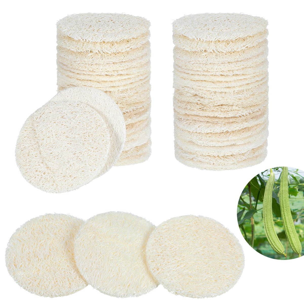 Nogeqi 30 Stück 5,5 cm Natürliche Luffa-Schwamm-Pads für die Gesichtsreinigung, Peeling Körper- und Gesichtspeeling-Pads für Make-up-Entfernung und abgestorbene Hautzellen für Damen und Herren (eine Seite aufgeweicht)