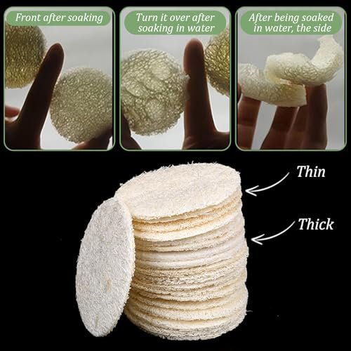 Nogeqi 30 Stück 5,5 cm Natürliche Luffa-Schwamm-Pads für die Gesichtsreinigung, Peeling Körper- und Gesichtspeeling-Pads für Make-up-Entfernung und abgestorbene Hautzellen für Damen und Herren (eine Seite aufgeweicht)